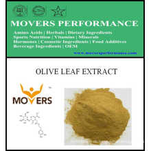 Pflanzenextrakt: Olivenblatt Extrakt
